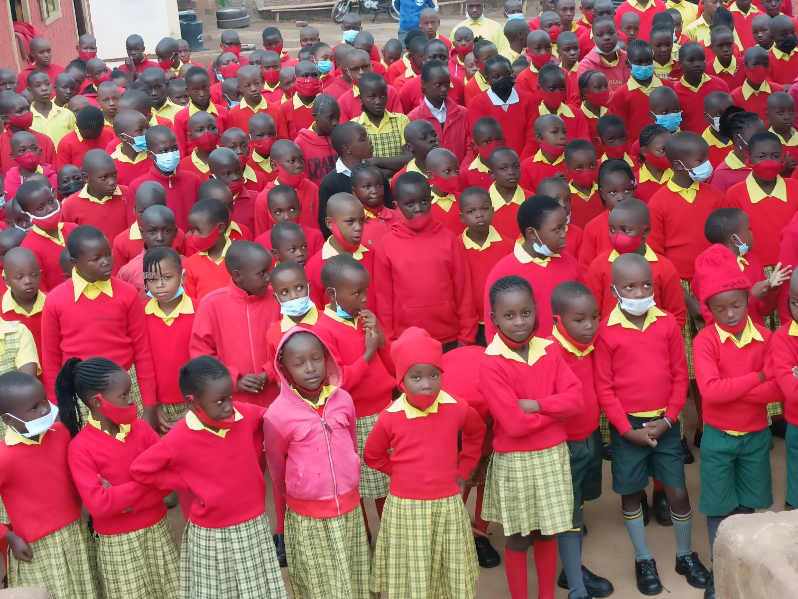 School Activity